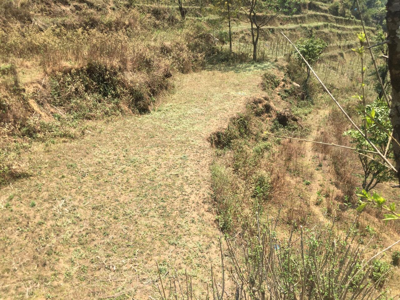 Picture of Dakshinkali Municipality, Bagmati